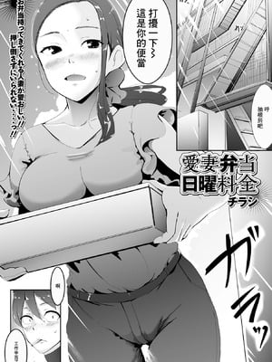 [チラシ] 愛妻弁当日曜料金 (Web配信 月刊 隣の気になる奥さん vol.053) [中国翻訳]-橙光游戏